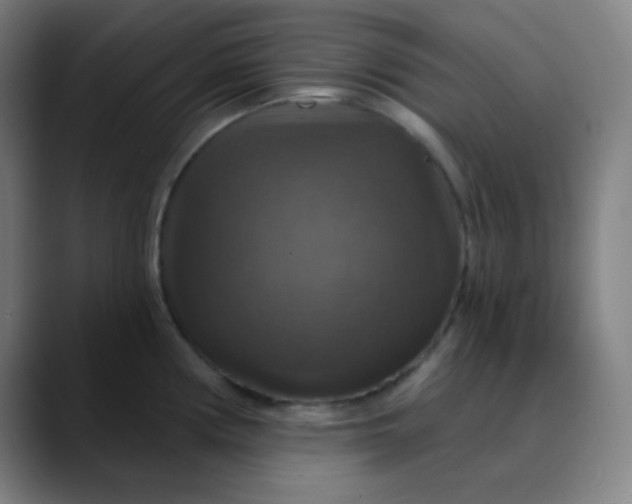 X0000089721194200707121425