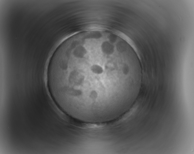 X0000089721195200707121425