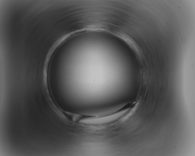 X0000089721196200707121425