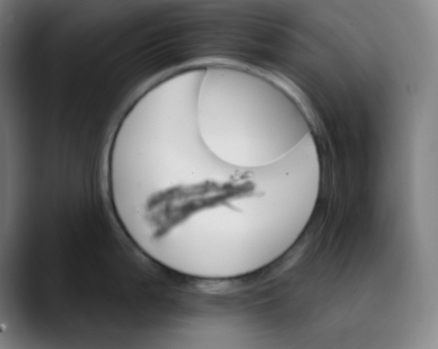 X0000089721199200707121425