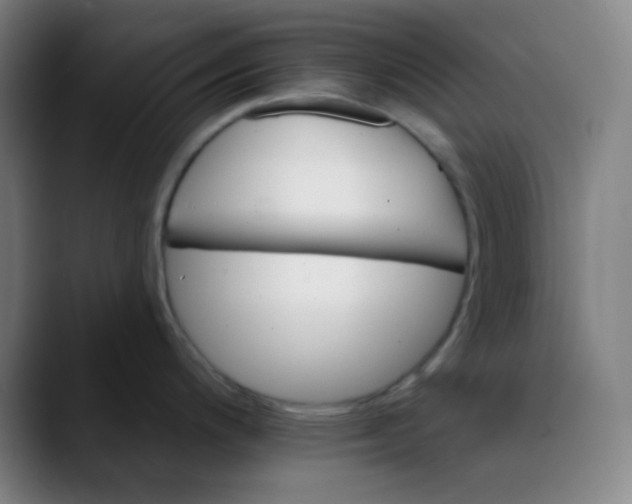 X0000089721200200707121425