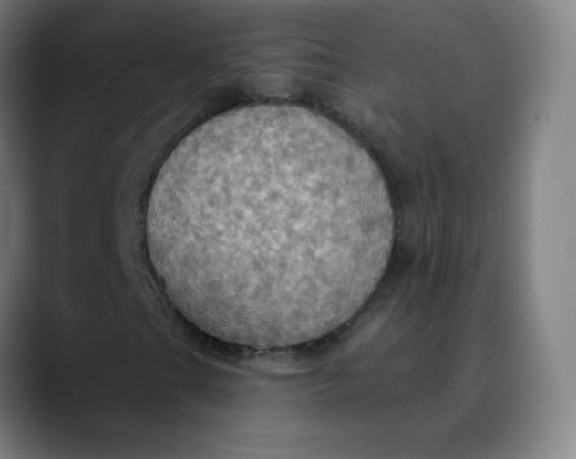 X0000089721201200707121424