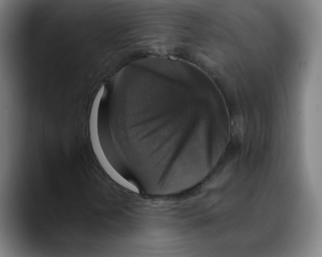 X0000089721202200707121424