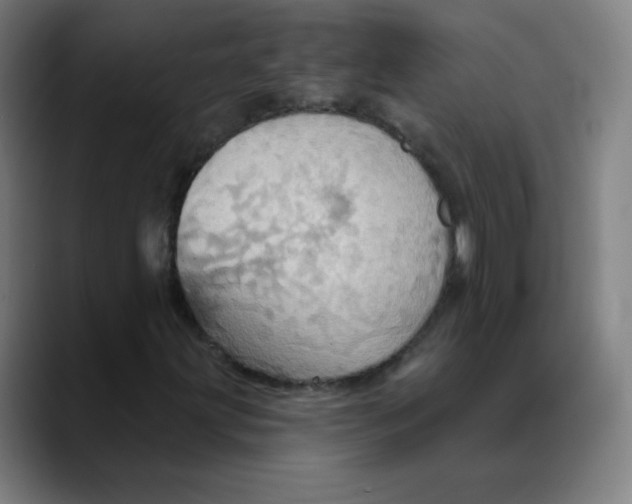 X0000089721203200707121424