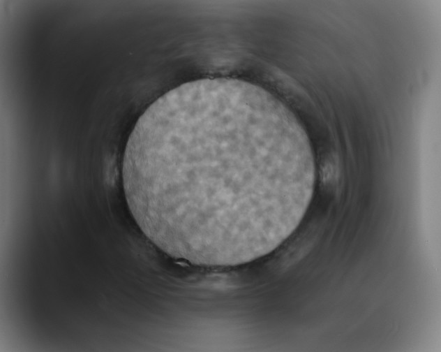 X0000089721204200707121424