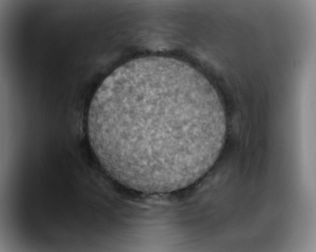 X0000089721205200707121424