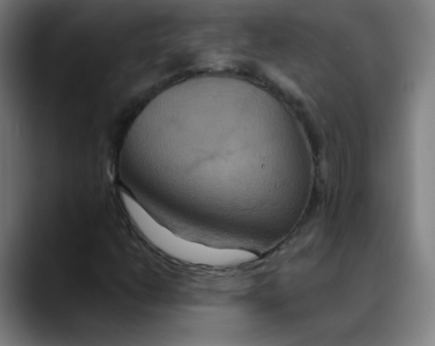 X0000089721206200707121424