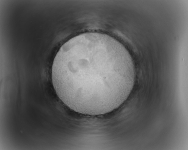 X0000089721207200707121424