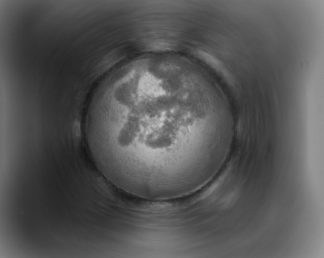 X0000089721209200707121424