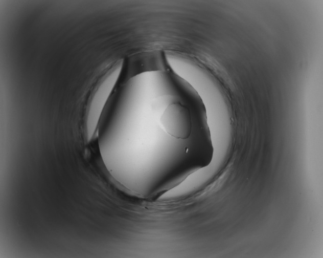 X0000089721210200707121424