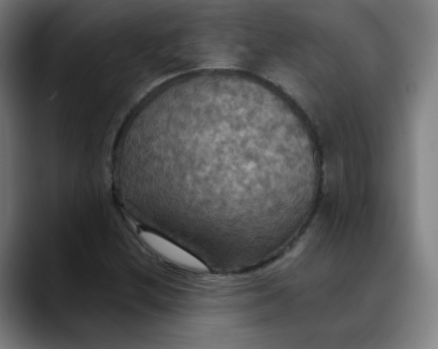 X0000089721212200707121425