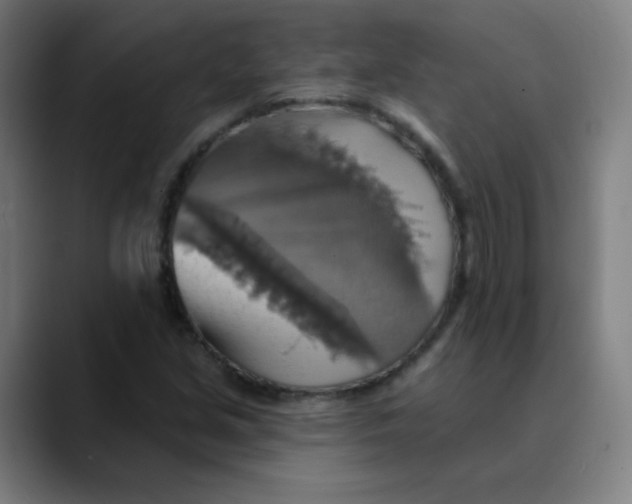 X0000089721213200707121425