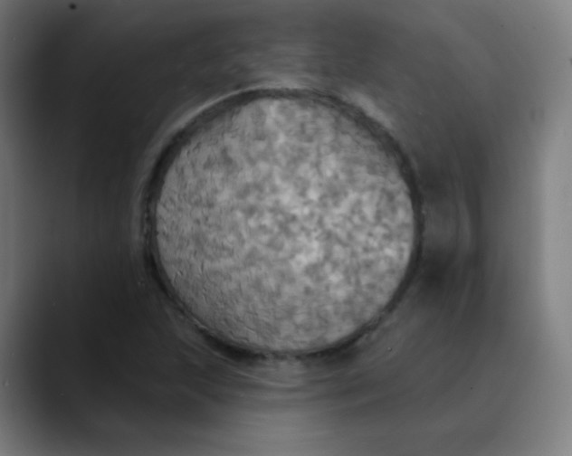 X0000089721215200707121425