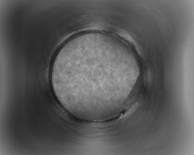 X0000089721216200707121425