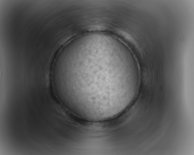 X0000089721217200707121425