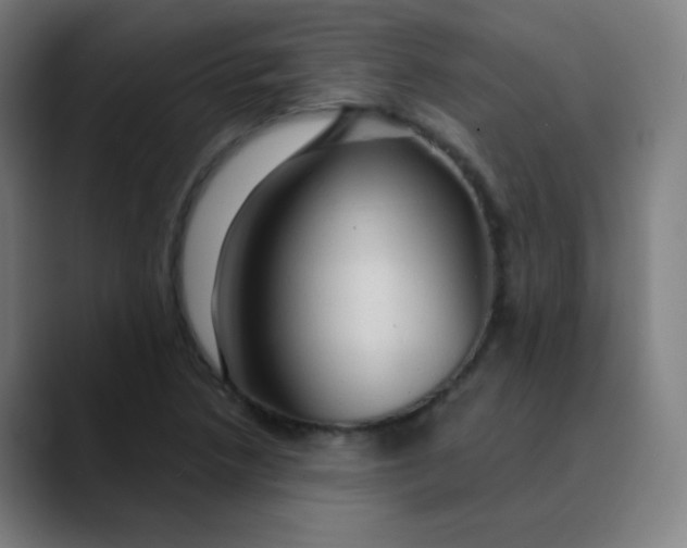 X0000089721218200707121425