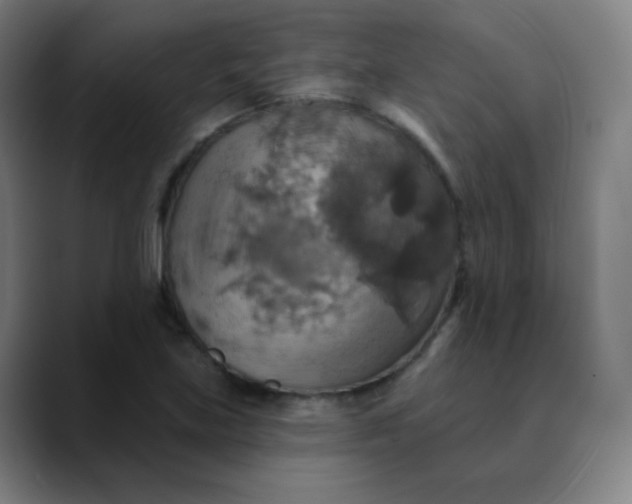 X0000089721219200707121425