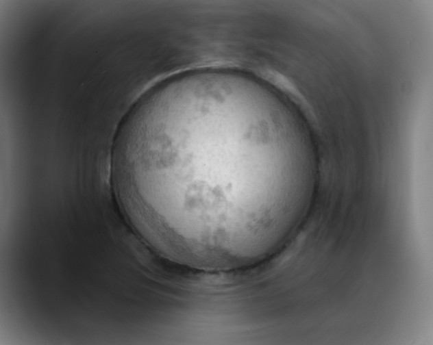 X0000089721220200707121425