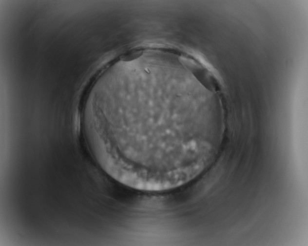 X0000089721221200707121425