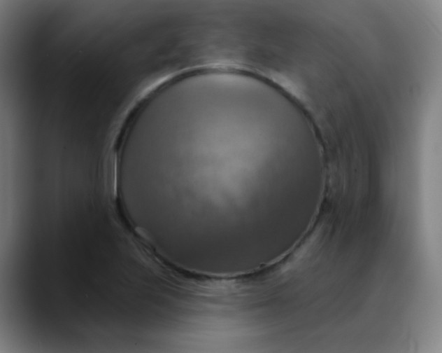 X0000089721223200707121425