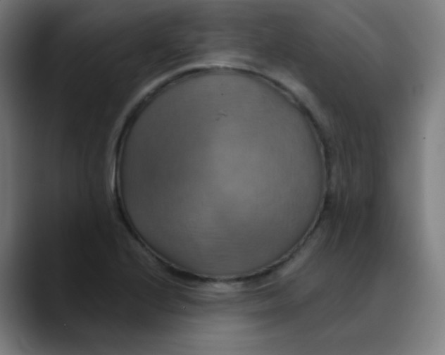 X0000089721224200707121425