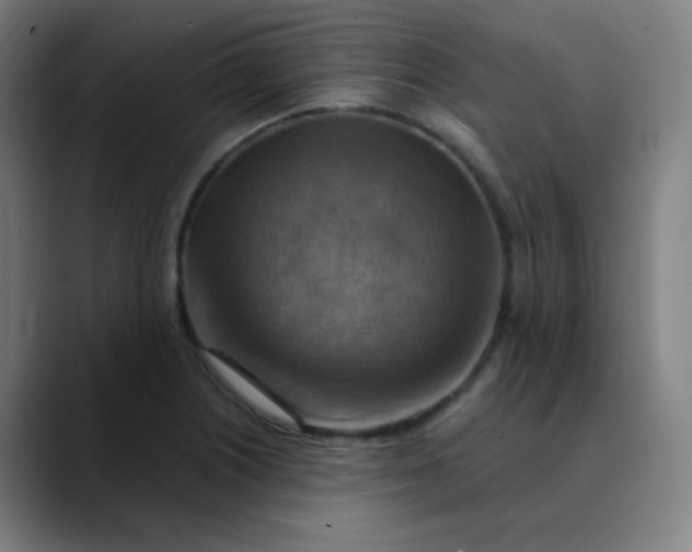 X0000089721226200707121425