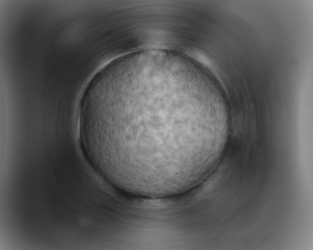 X0000089721227200707121425