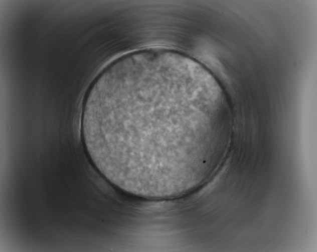 X0000089721228200707121425