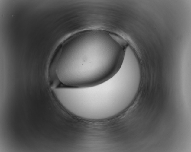 X0000089721230200707121425