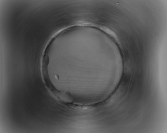 X0000089721231200707121425