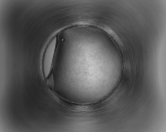 X0000089721232200707121425