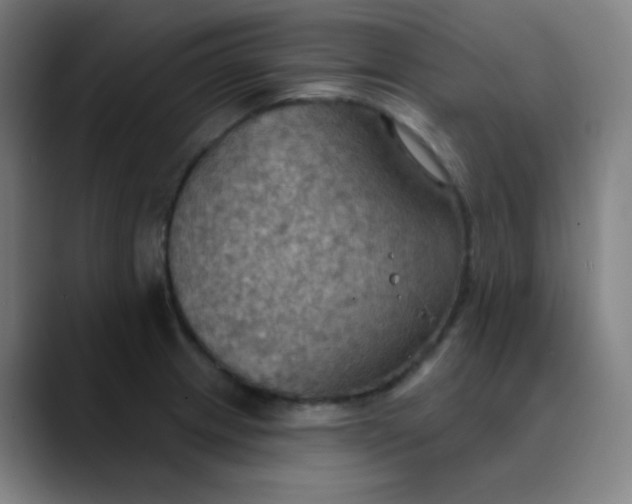 X0000089721233200707121425