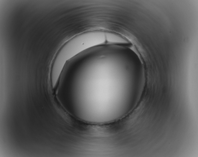 X0000089721234200707121425