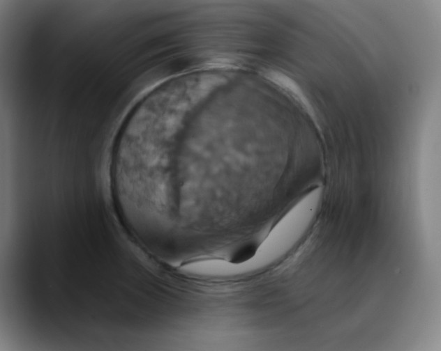 X0000089721235200707121425