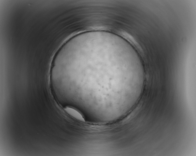 X0000089721236200707121425