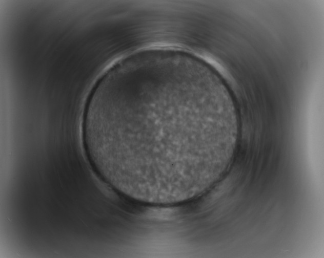 X0000089721237200707121425