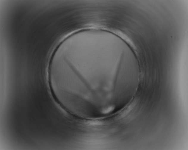 X0000089721239200707121425