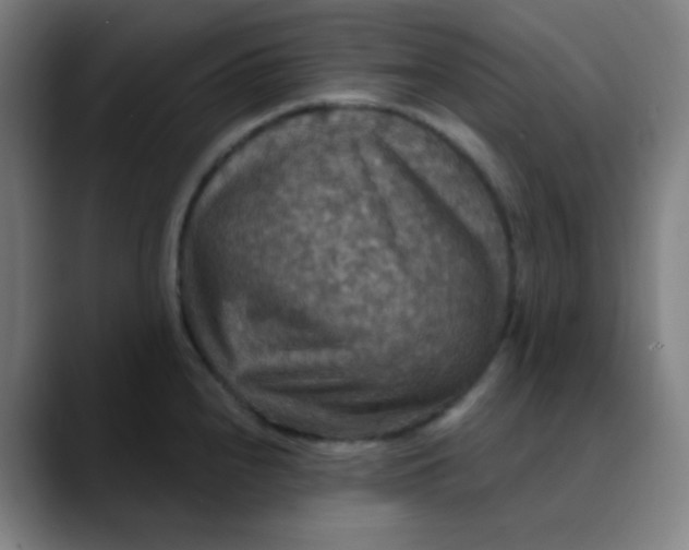 X0000089721240200707121425