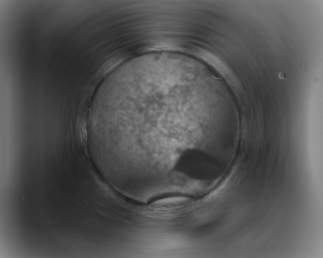 X0000089721241200707121425