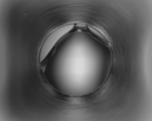 X0000089721242200707121425