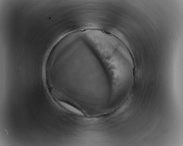 X0000089721243200707121425