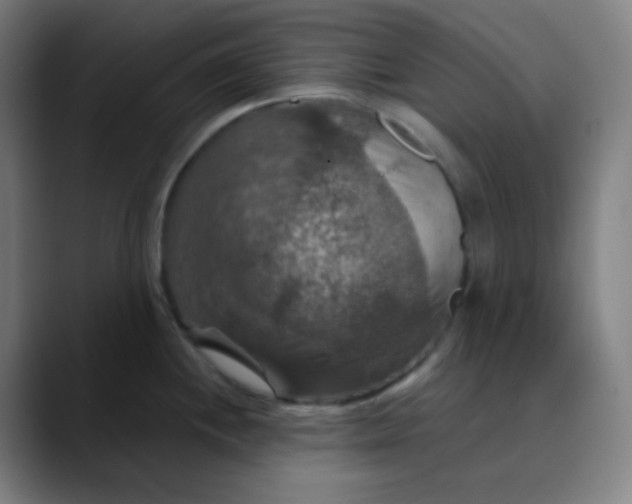 X0000089721244200707121425