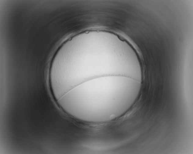 X0000089721245200707121425