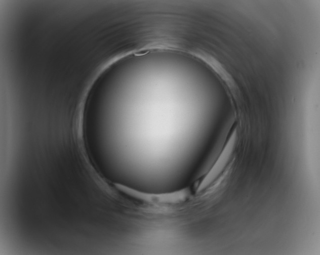 X0000089721246200707121425