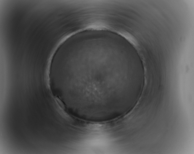 X0000089721248200707121425