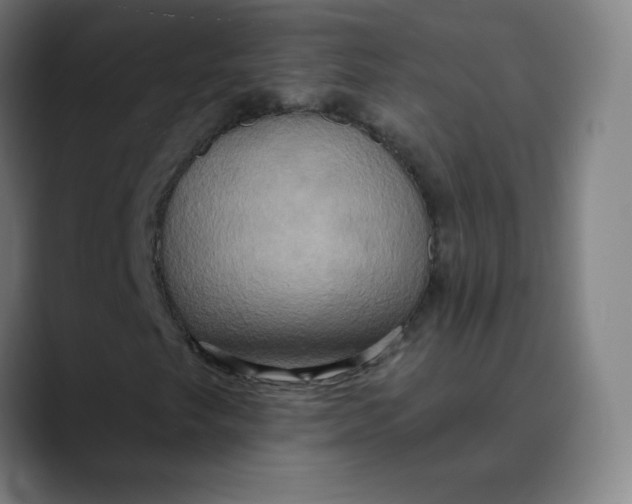 X0000089721249200707121424