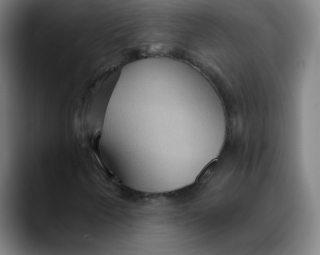 X0000089721250200707121424