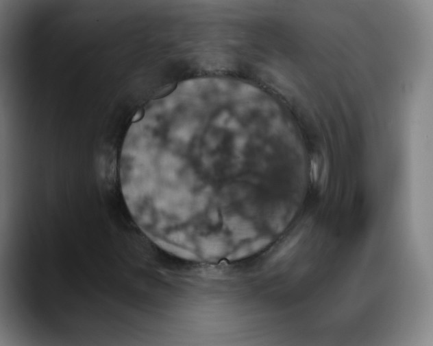 X0000089721251200707121424