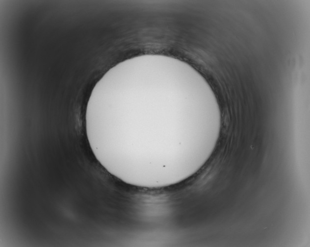 X0000089721252200707121424