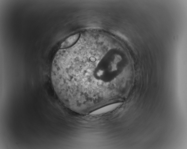 X0000089721255200707121424